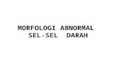 86305847 Morfologi Abnormal Sel Darah