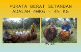 Johor baja organik & soil conditioner