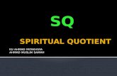 Spiritual quotient