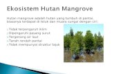 Ekosistem hutan mangrove