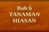 KHB TING 1 - Bab 6 Tanaman Hiasan