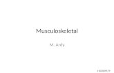 Anatomi Musculus Latihan Ardy