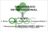 Organisasi Internasional-APEC
