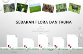 Sebaran flora dan fauna 1