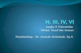 Neuroanatomi N.III, IV, VI
