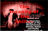 Insanity of the shiites