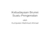 Kebudayaan Brunei