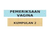 Pemeriksaan Vagina