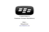 Panduan Format BlackBerry