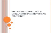Sistem Hepatobilier & Mekanisme Pembentukan Bilirubin