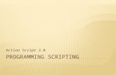 Programming scripting