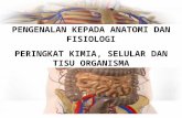 Pengenalan Kepada Anatomi Dan Fisiologi