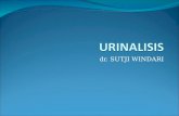 Urinalisis Final