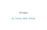 Fisiologi Sinaps (Dr.imran, SpS)