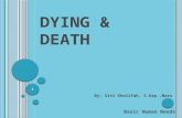 Dying & death