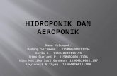 Hidroponikdanaeroponik 121101045317-phpapp02