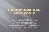 Hidroponik dan aeroponik