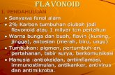 4. FLAVONOID