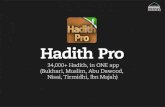 Hadith Pro - Bukhari, Muslim, Ibn e Majah, Abu Dawood, Nisai, Tirmidhi, - iPhone, iPod, iPad App.