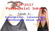 PJM 3117 Psikososial Sukan Ppt