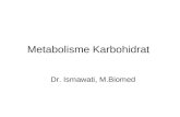 Metabolisme Karbohidrat Blok 10 2010
