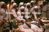 Mother Teresa  Translation  1