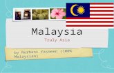 MY Msia ppt to USA