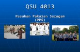 4 upsi qss4013 pps