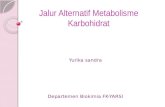 Jalur Alternatif Metabolisme Karbohidrat