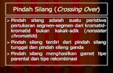 Pindah Silang (Crossing Over)