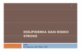 Dislipidemia dan  Risiko Stroke Nov 2011.pdf