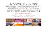 Pure Marine Collagen Berkesan Untuk Kurus