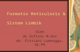K - 1 & K - 2 Formatio Reticularis & Sistem Limbik (Anatomi)