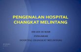 Pengenalan hospital changkat melintang