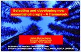 Selecting and developing new essential oil crops - A framework