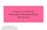 Lesson 3.4 part 2