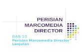 Perisian marcomedia director