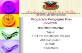 Sistem Ekonomi Islam 2009