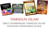 Bab 5 Sumbangan Tamadun Islam Terhadap Peradaban Dunia