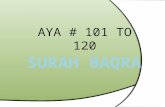 Surah baqara 101 to 120