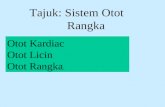 2. Sistem Otot Rangka (Hamstring)
