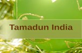 Tamadun India- Masy & Budaya