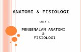 Pengenalan Anatomi dan Fisiologi Tingkatan 4
