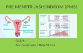 Pre Menstruasi Sindrom (Pms) Oleh Irwanyah