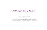 SPINA BIFIDA-Power Point Last Editing 3 Sep