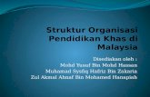 Pmbntngn Struktur Organisasi Pend Khas d Malaysia