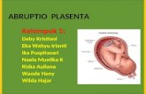 HG5 Abruptio Placenta