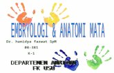 k1- Embriologi & Anatomi Mata