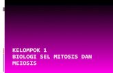 Power Point Miosis n' Mitosis 2003
