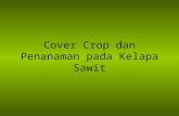 5_Cover Crop Dan Penanaman Pada Kelapa Sawit